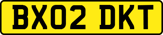 BX02DKT