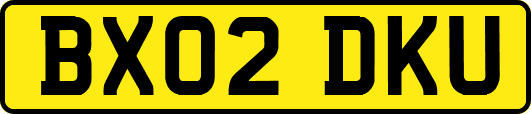 BX02DKU