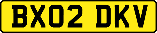 BX02DKV