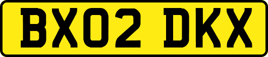 BX02DKX