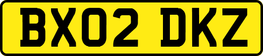 BX02DKZ