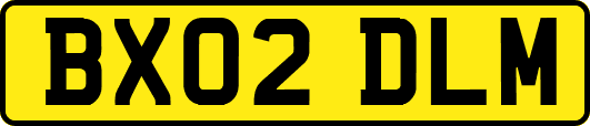 BX02DLM