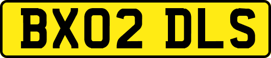 BX02DLS