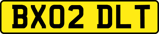 BX02DLT