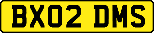 BX02DMS