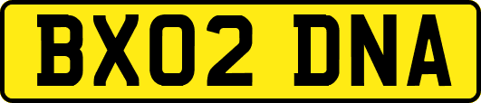 BX02DNA