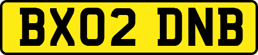 BX02DNB