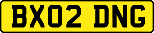 BX02DNG