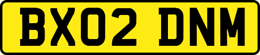 BX02DNM