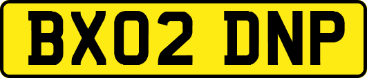 BX02DNP