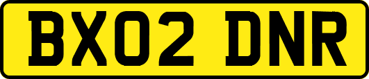 BX02DNR