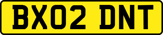 BX02DNT