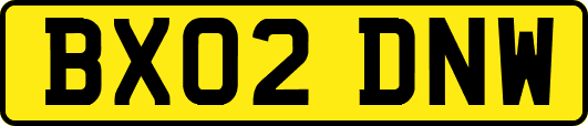 BX02DNW