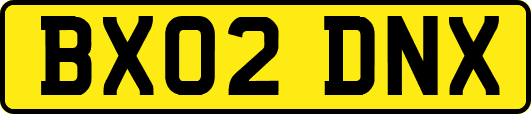 BX02DNX