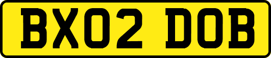 BX02DOB