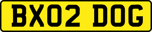 BX02DOG