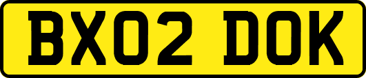 BX02DOK