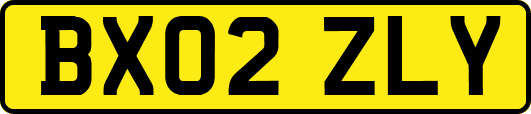 BX02ZLY