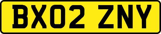 BX02ZNY
