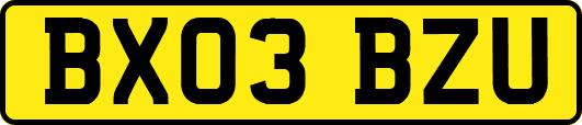 BX03BZU