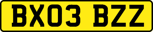 BX03BZZ