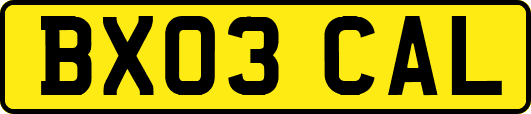 BX03CAL