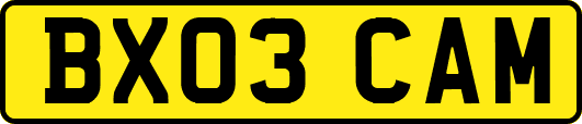 BX03CAM