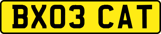 BX03CAT