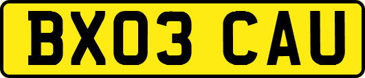 BX03CAU