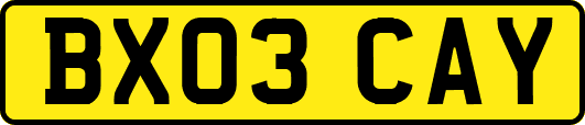 BX03CAY