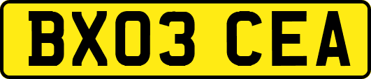 BX03CEA