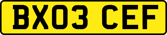 BX03CEF