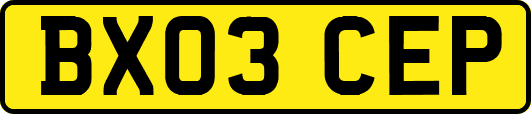 BX03CEP