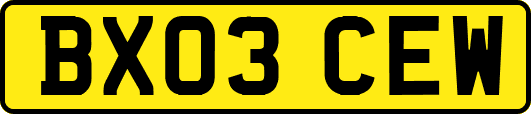 BX03CEW