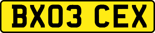 BX03CEX