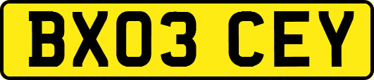 BX03CEY