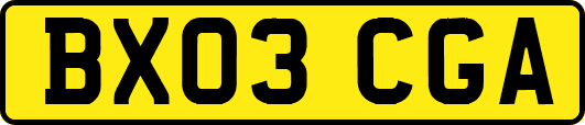 BX03CGA