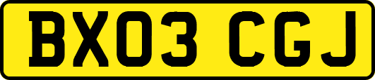 BX03CGJ