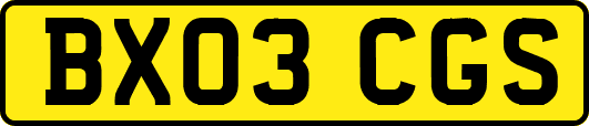 BX03CGS