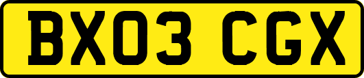 BX03CGX