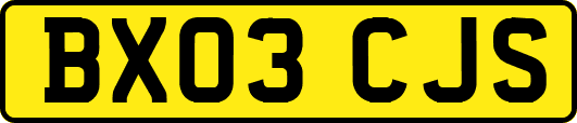 BX03CJS