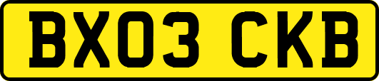 BX03CKB