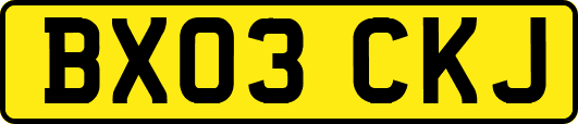 BX03CKJ