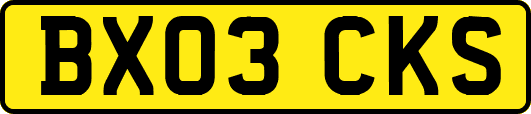 BX03CKS