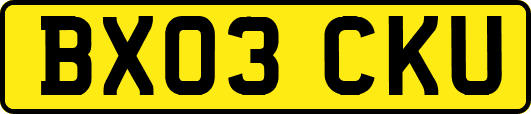 BX03CKU