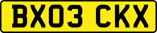 BX03CKX