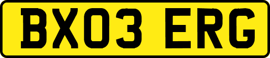 BX03ERG