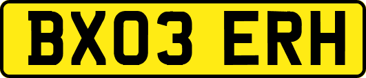 BX03ERH