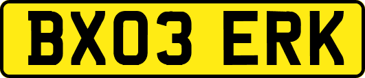 BX03ERK
