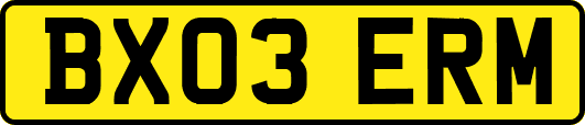 BX03ERM